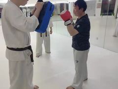 -极真空手道修远道场