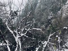 -九峰山