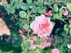 -人民公园(罗湖区)