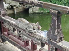 -常熟方塔园