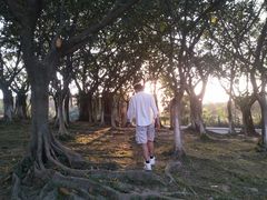 -东莞植物园