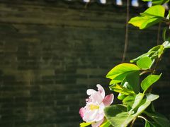 -三里河公园