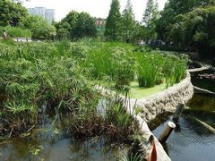 -成都市活水公园