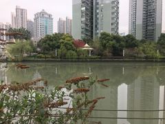 -苏州河梦清园环保主题公园