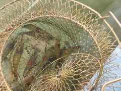 -光头佬钓虾场·烧烤·聚餐·亲子(金沙洲店)