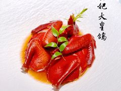 -圆苑(金茂店)