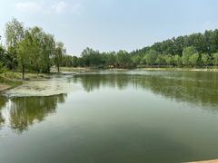 -东郊湿地公园