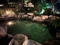 -英德宝晶宫天鹅湖茶语温泉