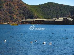 -丽江泸沽湖景区-里格半岛