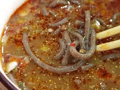 荞面饸饹-张记荞面馆