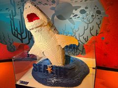 -沈阳海洋探索中心