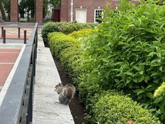 -美国独立纪念馆