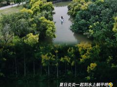 -大湾区中央湿地公园