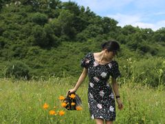 -白草畔自然风景区