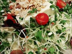 -机器人火炉披萨