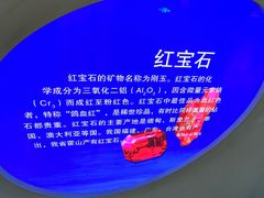 -安徽省地质博物馆