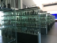 -中国药科大学（江宁校区）-图书馆