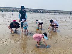 -南汇嘴观海公园