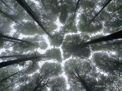 -山王坪喀斯特国家生态公园