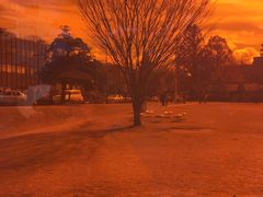 -金泽21世纪美术馆