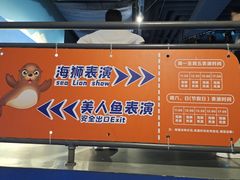 -石家庄海洋公园