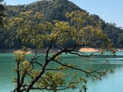 -广州市流溪河国家森林公园