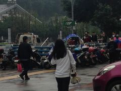 -大龙山(地铁站)