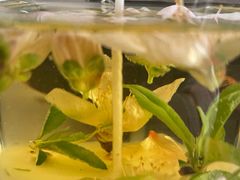 -循礼门鲜花花市(武汉循礼门店)