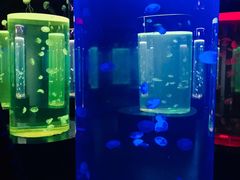 -绍兴梦享海洋公园