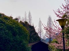 -白马涧龙池景区
