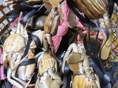 -新欢海鲜坊(赖屋店)