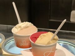 -Dip in Gelato(富民路店)