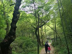 -会稽山峡洞漂流-上青古道