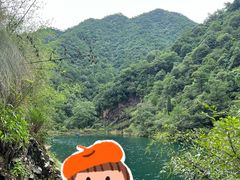 -大奇山国家森林公园