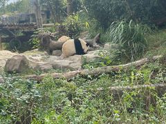 -宁波野生动物园