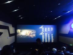 -金逸影城(光美江宁IMAX店)