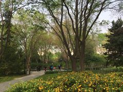 -玲珑塔公园