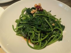 -佬肥猫(七宝宝龙店)