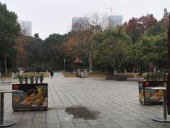 -麦当劳(长沙东风路店)