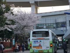 -上海南浦大桥长途旅游客运站