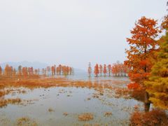 -四明湖