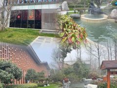 -思念果岭悦温泉