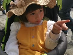-穹窿山景区
