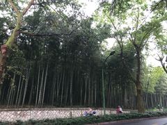 -山外山菜馆(玉泉路店)