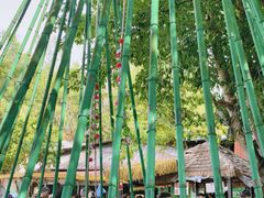 -一寨两国风景区