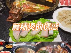-双合福火锅(河北路店)