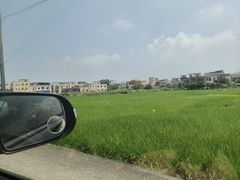 -大赤坎肥仔强烧味海鲜餐厅(大赤坎店)