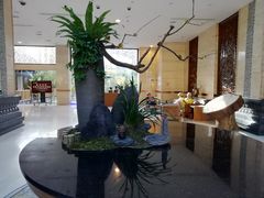 -九华山聚龙大酒店