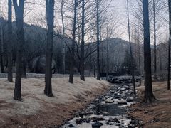 -白水寺森林公园