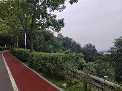 -火炉山森林公园